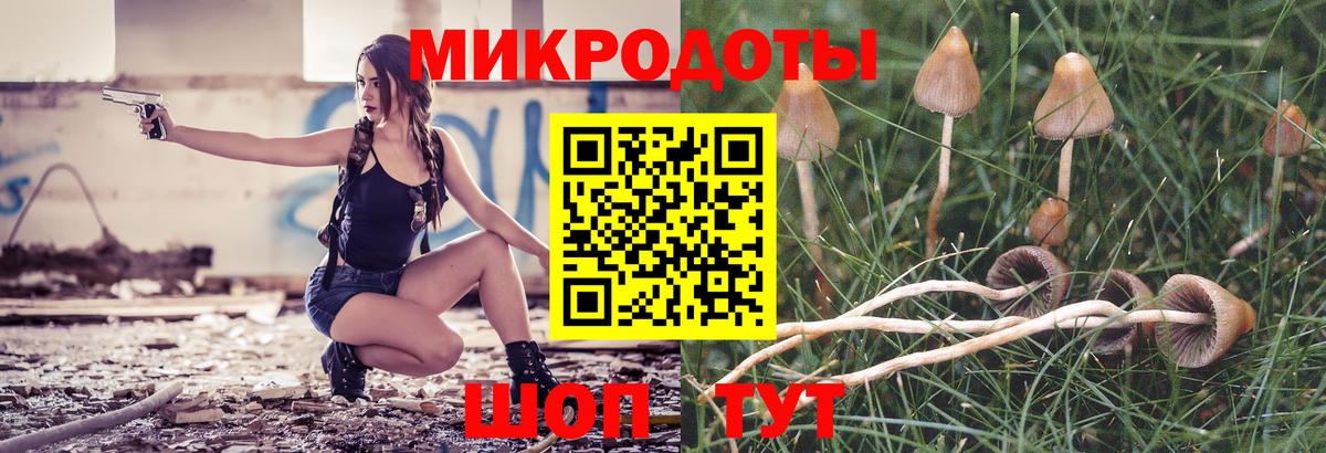 Галлюциногенные грибы Cubensis  Вход с VPN  Североуральск 